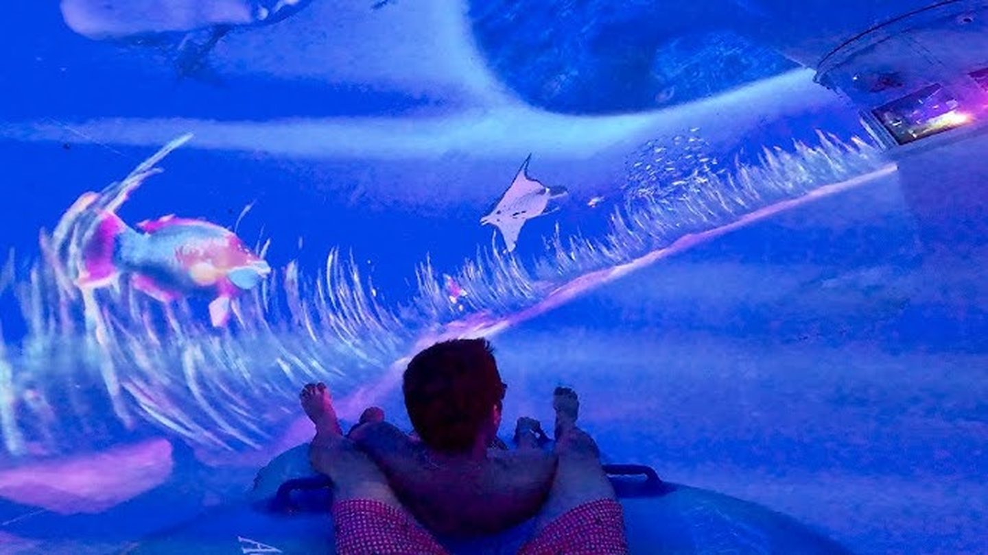 Tassie's Underwater Twist projection mapping inside the slide, Aquatica Orlando